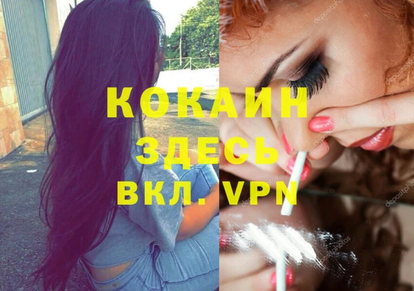дживик Белоозёрский
