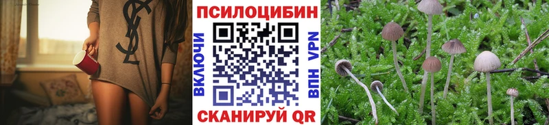 Псилоцибиновые грибы мухоморы  где можно купить   Шимановск 